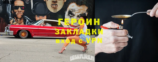 индика Вяземский