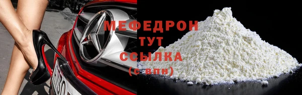 индика Вяземский