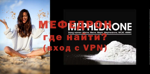 индика Вяземский