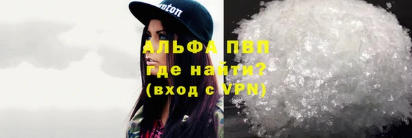 индика Вяземский