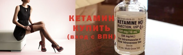 индика Вяземский