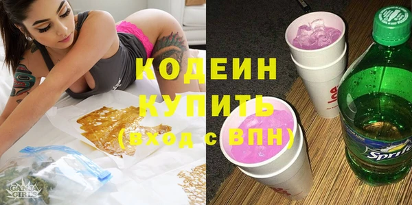 индика Вяземский