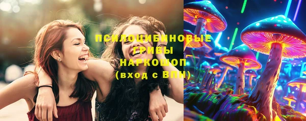 первитин Нея