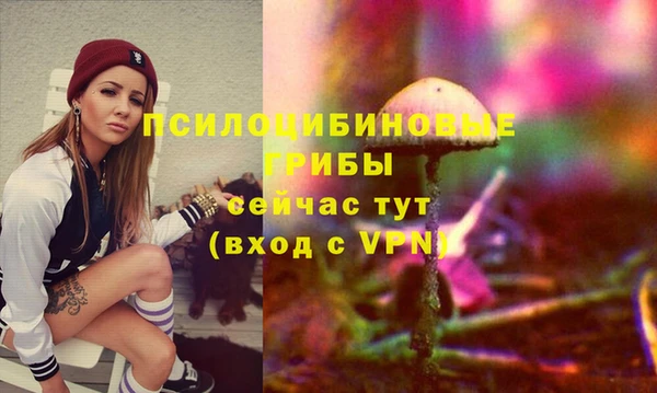 PSILOCYBIN Нягань