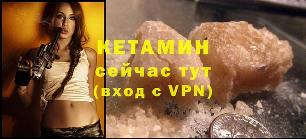 индика Вяземский