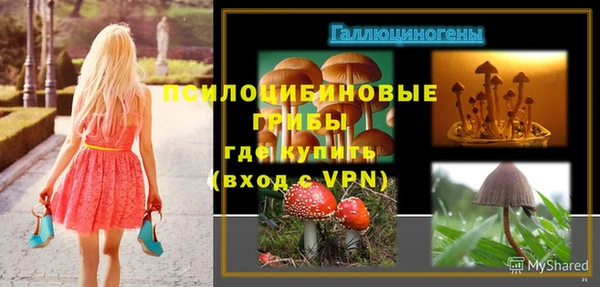 бошки Горно-Алтайск