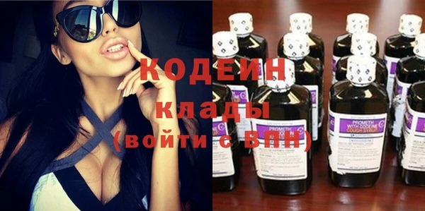 индика Вяземский
