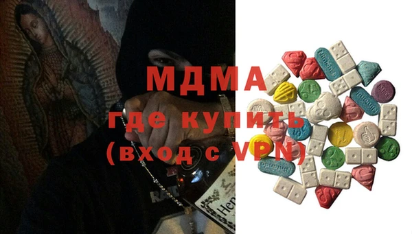 индика Вяземский