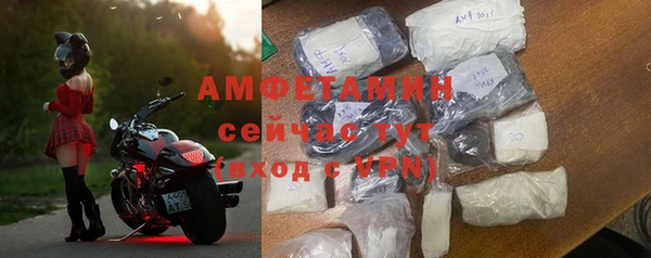 индика Вяземский