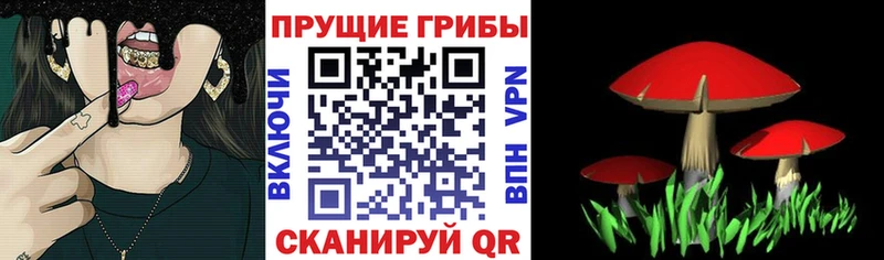 Галлюциногенные грибы мицелий  Заволжск 
